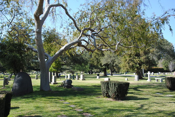 DSC 0435