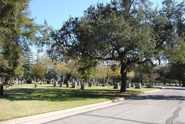 DSC 0400