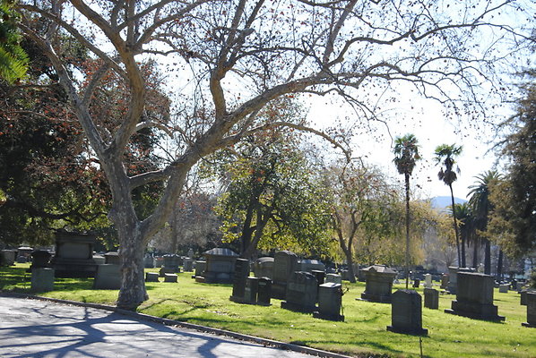 DSC 0497