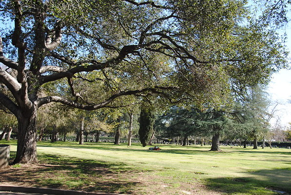 DSC 0414