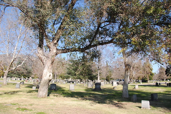 DSC 0535