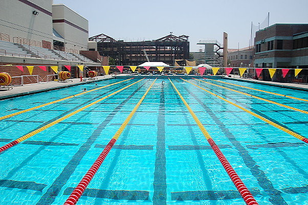 DSC 0230