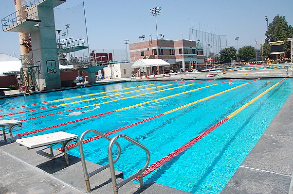 DSC 0306