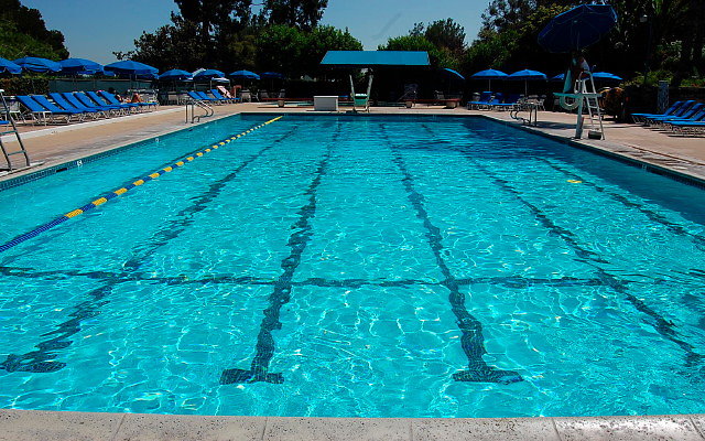 Alta Dena C.C. Pool