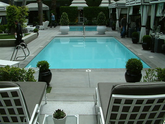 Viceroy Hotel Pool