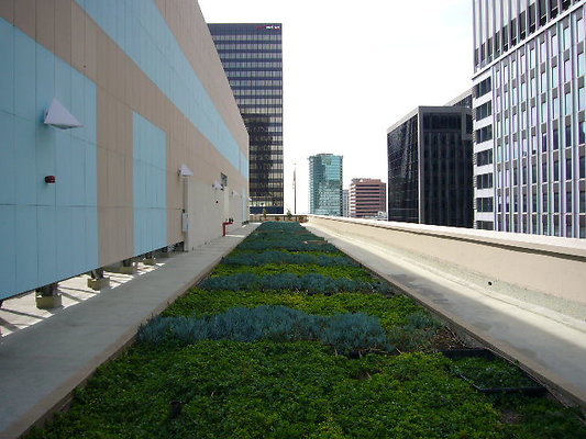 P1040446