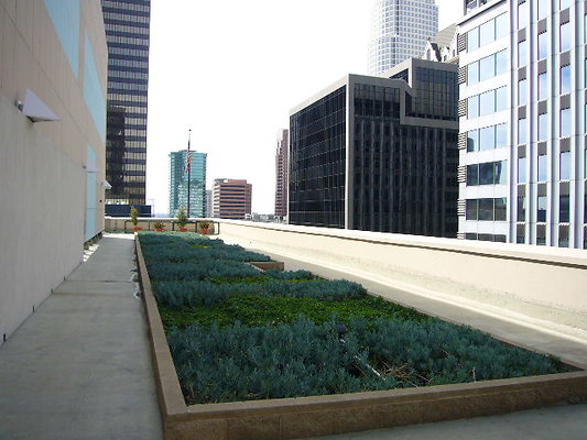 P1040445
