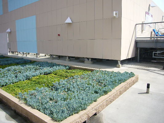 P1040442