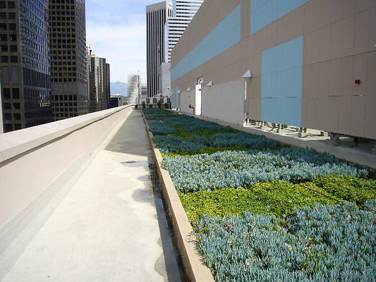 P1040443