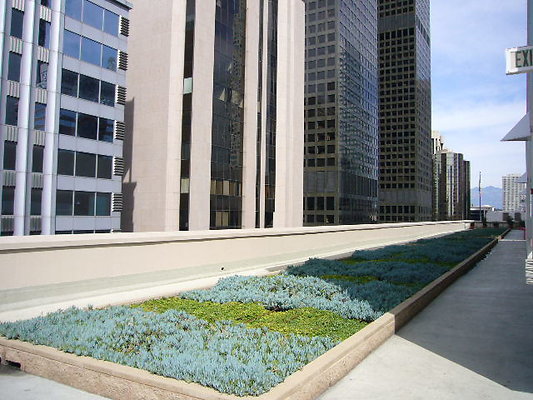 P1040444