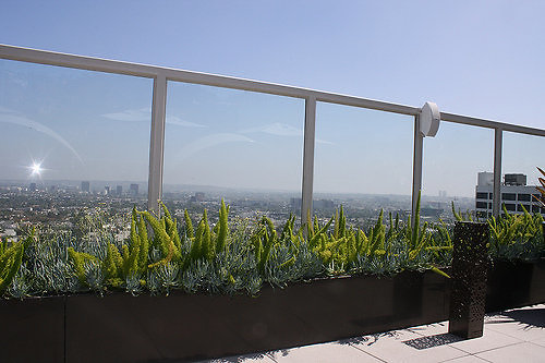 gallery 86a