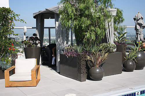 gallery 86b