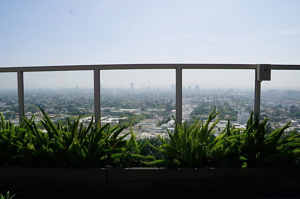 DSC00444