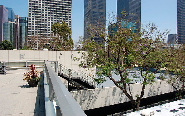 DSC 0049