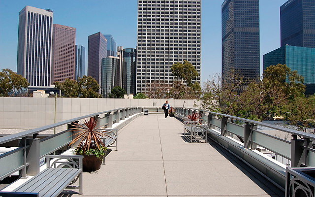 DSC 0039b