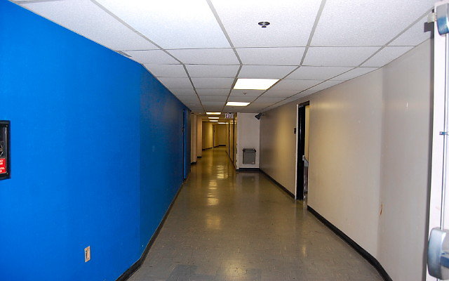 DSC 0239