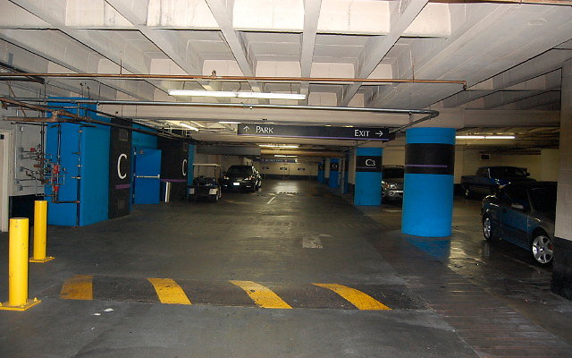 DSC 0235