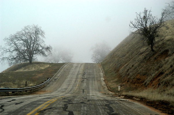 DWR Road Foggy