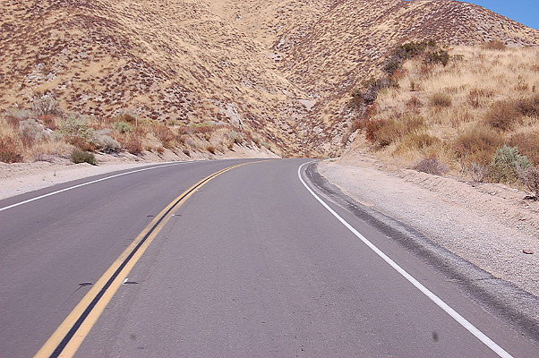 DSC 0008