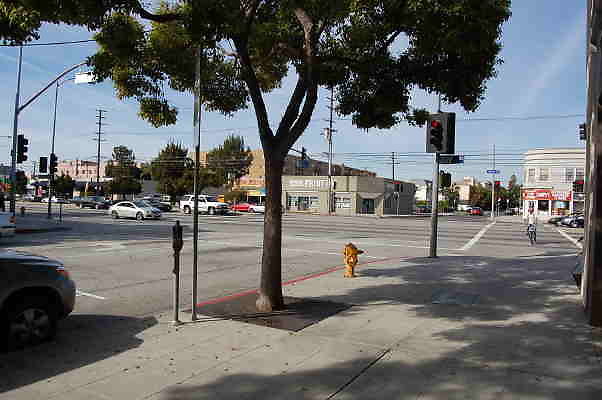 DSC 0000f