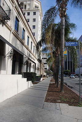 DSC 0077