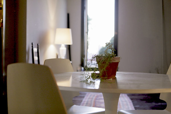 336 Studio\2cMG 0004