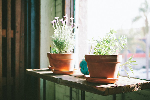 336 Studio\5dMG 0018