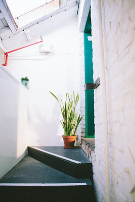 336 Studio\5dMG 0002