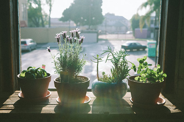 336 Studio\5dMG 0017