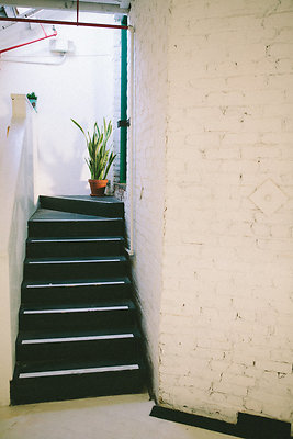 336 Studio\5dMG 0001