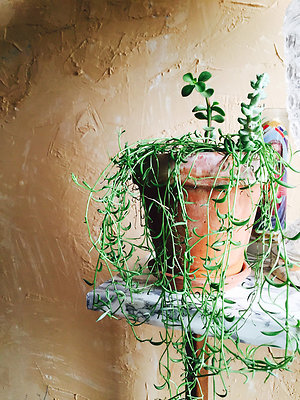 336 Studio\5gdscn 005