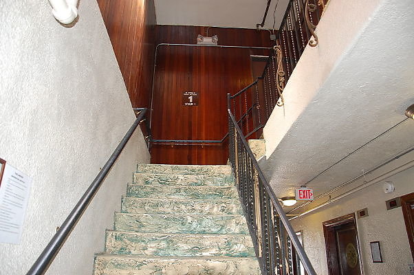 DSC 0268