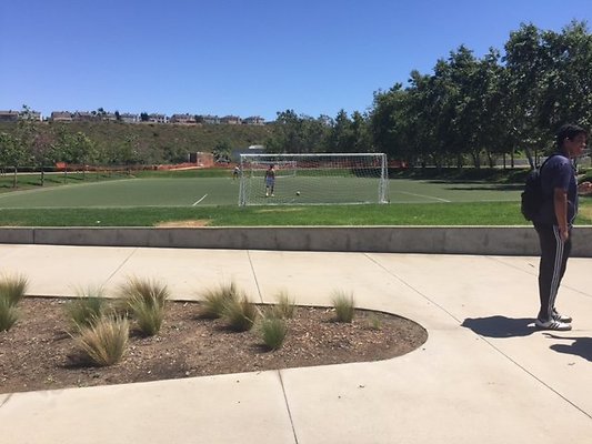 Soccer.Field.Curb