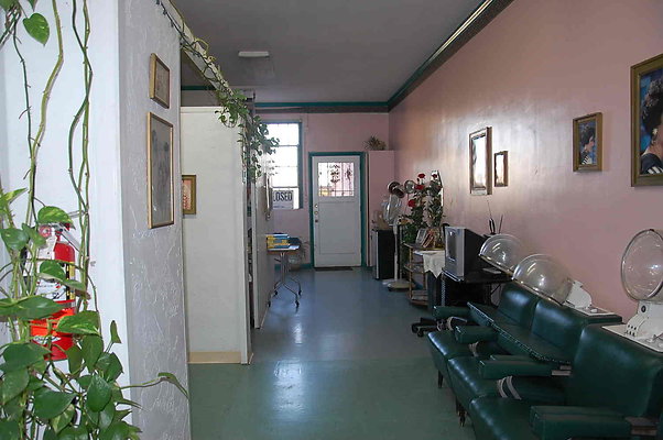 DSC 0246