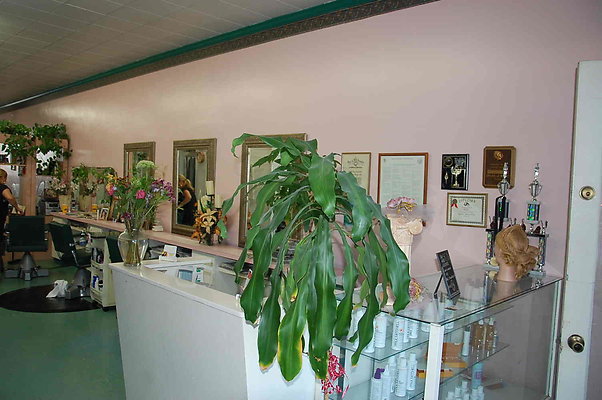 DSC 0244