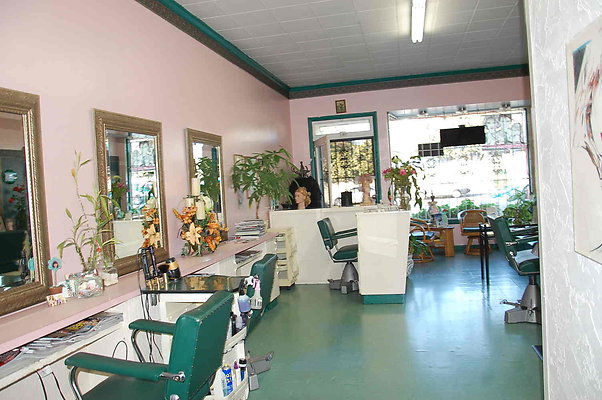 DSC 0247