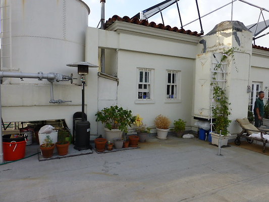 P1150191