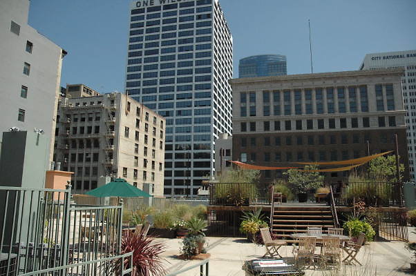 DSC 0106