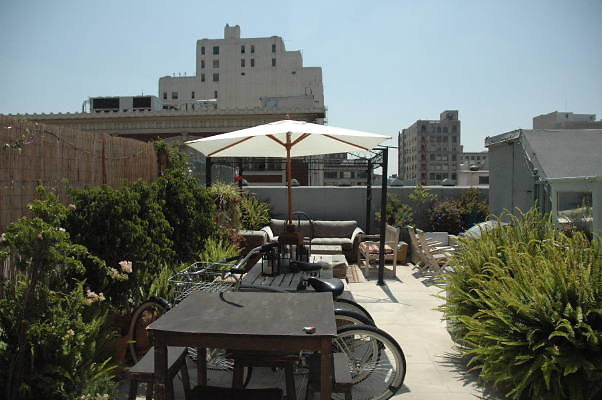 DSC 0101