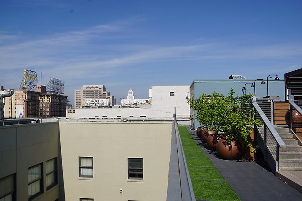DSC00527