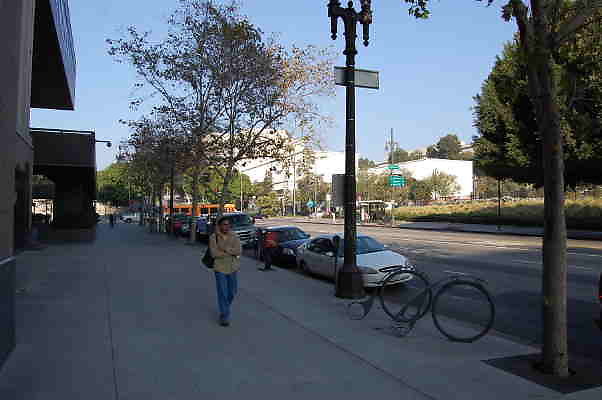 DSC 0245
