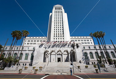 City Hall Looks