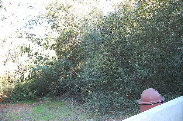 DSC 0013