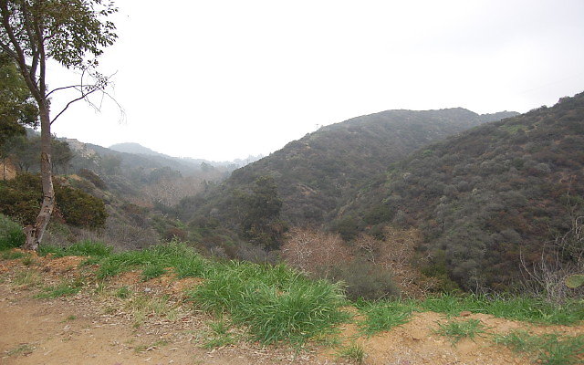 DSC 0196