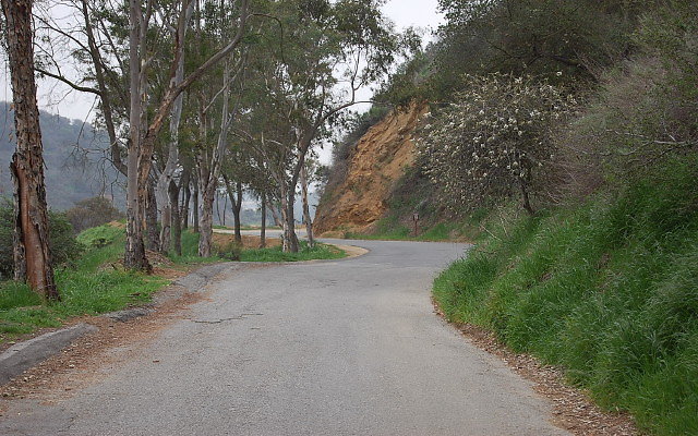 DSC 0203