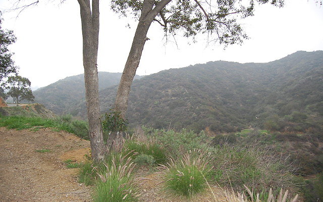 DSC 0185