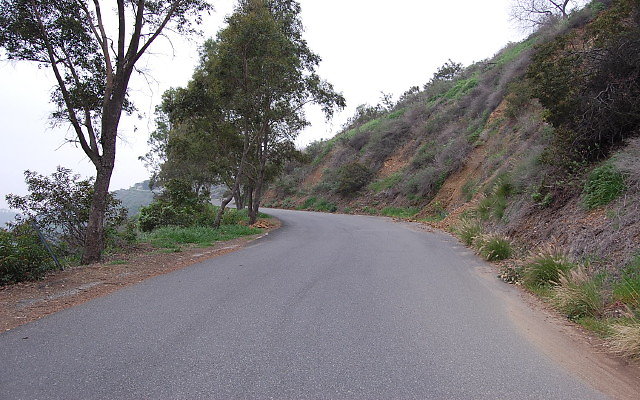DSC 0184