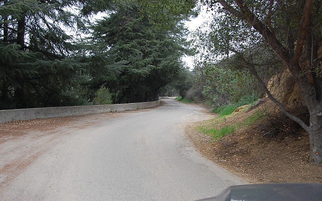 DSC 0307