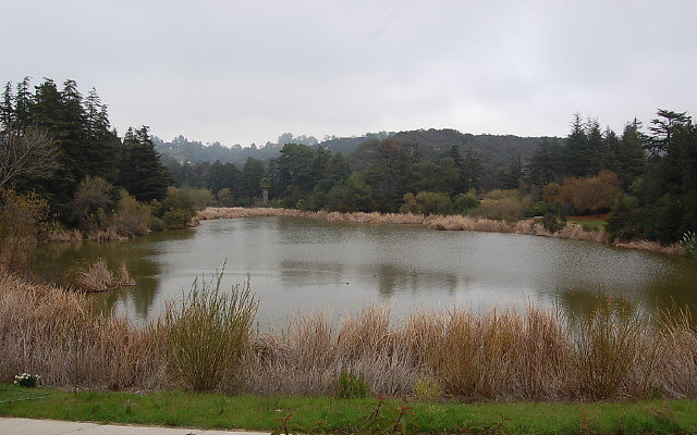 DSC 0290