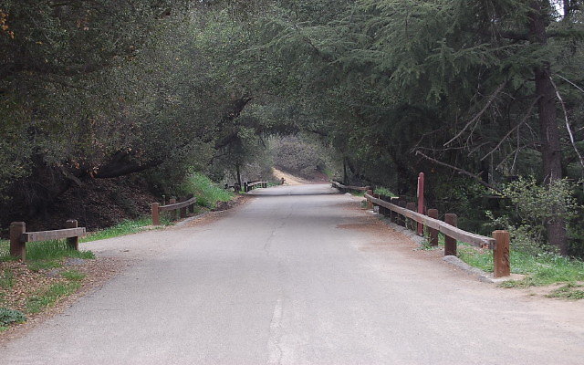 DSC 0277